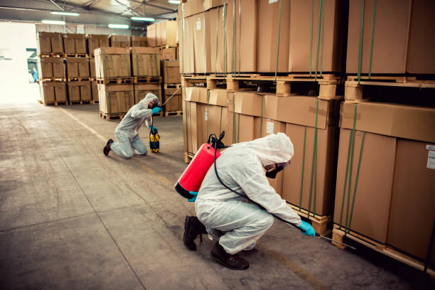 Best Bed Bug Extermination  in Cresson, PA