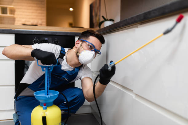 Best Residential Pest Control  in Cresson, PA