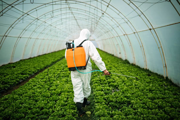 Best Mosquito Control Services  in Cresson, PA
