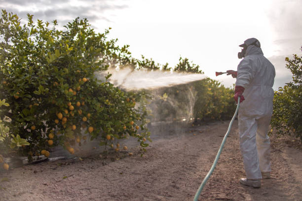 Best Termite Control Services  in Cresson, PA