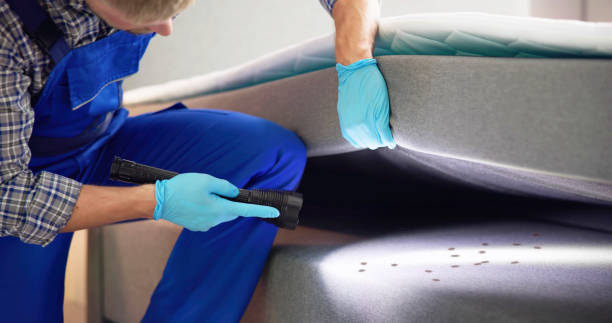Best Local Pest Control Services  in Cresson, PA