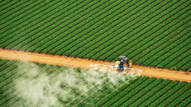 Best Pest Removal Services  in Cresson, PA
