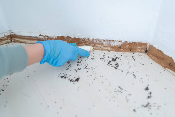 Professional Pest Control in Cresson, PA