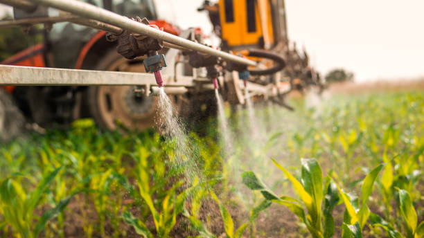 Best Wildlife Control Services  in Cresson, PA